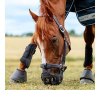 LeMieux Noma Grazing Muzzle - Black - Size: Cob