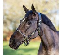 LeMieux Rope Control Headcollar - Brown - Size: Cob