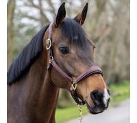 LeMieux Stitched Hunter Headcollar - Havana - Size: Cob