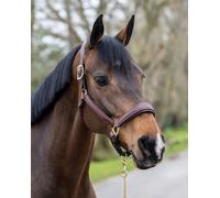 LeMieux Stitched Leather Headcollar - Brown Full