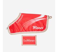 LeMieux Toy Pony Champions Rug - Red