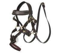 LeMieux Mini Toy Pony Grackle Bridle Black