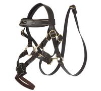 LeMieux Toy Pony Grackle Bridle