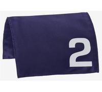 LeMieux Toy Pony Racing Cloth & Lycra Hood