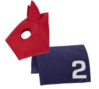 Fabric and racing mask for plush toys LeMieux Toy Pony