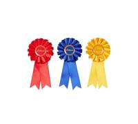 Toy medal LeMieux Toy Pony