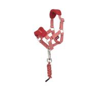 LeMieux Toy Pony Vogue Headcollar & Leadrope - Spiced Earth | Complete The Matchy Matchy Look for Your Toy Pony - Suitable for Ages 3+