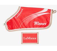 LeMieux Toy Pony Winners Rug Prize Mini Play Accessories for Little Toy Ponies