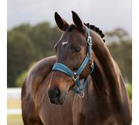 LeMieux Versailles Headcollar - Jungle - Green - Size: Cob