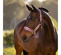 LeMieux Versailles Headcollar - Mallow - Dark Pink - Size: Cob