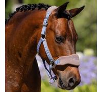 LeMieux Vogue Headcollar - Jay Blue - Jay Blue - Size: Full
