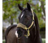 LeMieux Vogue Headcollar & Leadrope - Gooseberry