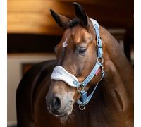 LeMieux Vogue Headcollar & Leadrope - Ice Blue - Blue - Size: Full
