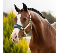 LeMieux Vogue Headcollar & Leadrope - Macaron - Yellow - Size: Cob