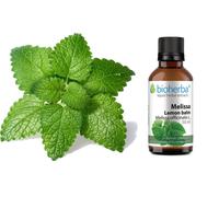 Lemon Balm (Melissa) Tincture 50ml - Herbal Liquid Extract+Vit.B1
