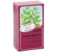 Floradix Lemon Balm Teabags 15 Teabags