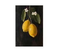 Lemon Branch VintageCanvas Poster Wall Art Decor Print Picture Paintings for Living Room Bedroom Decoration20x30inch(50x75cm)