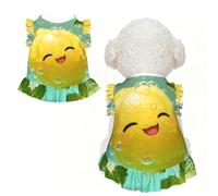 Lemon bubble bath XL Pet Apparel for Small Dogs-Cute Summer Outfit for Puppy, Soft Breathable Pet Clothes for Cat