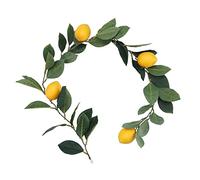 Lemon Decor Fake Lemons Branch,Artificial Lemon Branches,Home Fine Rattan Decoration,Encrypted Greenery Simulation Lemon Rattan for Wall and Door,50cm 100cm 195cm (2)