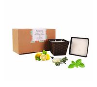 Lemon Eucalyptus Outdoor Candles Pack of 2,Garden Vegan Candles Mint Scented,Christmas Candle Set Aromatherapy Gift,Long Burning Camping Candles Fruits Scent,Soy Wax Large Candle Buckets for Patio