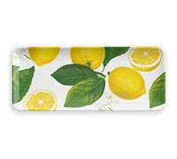 Lemon Fresh Melamine Serving Appetiser Tray