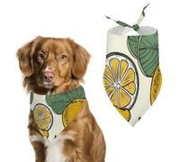 Lemon Fruit Pattern Dog Bandana Triangle Dog Scarf Washable Polyester Dog Bibs Cute Pet Bandana for Medium Large Dogs Puppy and Cats
