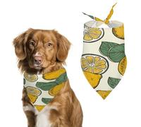 Lemon Fruit Pattern Pet Scarf for Boy and Girl,Holiday Christmas Bandanas Adjustable Pet Scarf Cat Bandana Triangle Dog Bib for Dog Birthday Party Supplies