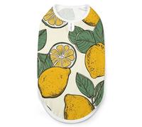 Lemon Fruit Pattern Pet Vest Breathable Dog Shirt Soft Dog Sleeveless T Shirt Fashion Pet Sweater Funny Puppy Clothes Dog Jacket Pet Clothes for Small Medium Dogs Puppy Cat Large