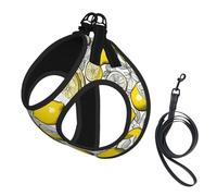 Lemon Fruit Pattern Print Step in Dog Harness and Leash Set,Adjustable Reflective Harness for Small Dogs Cats