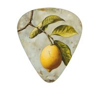 Lemon Fruit Print Organizer Storage Box Different Thickness Guitar Picks For Acoustic Guitar