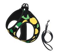 Lemon Fruit Print Small Dog Harness And Leash Set, Adjustable Soft Vest With 360° Reflective Straps For Cats Puppy