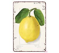 Lemon Metal Wall Decor Lemon Print Vintage Lemon Illustration Tin Signs Vintage Funny Signs Unique Home Decorations Cute Wall Decor Metal Poster for Bedroom Office Kitchen 8x12 inch