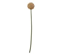 Lemon Pavilion Furniture and Decor Allium (Single Stem Flower) - Plastic - L11 x W11 x H75 cm - Pink Lemon Pavilion Furniture and Decor Pink