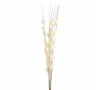 Lemon Pavilion Furniture and Decor Bouquet of Dried Thlaspi Arvense Artificial Plant, L16 x W16 x H120 cm in White Lemon Pavilion Furniture and Decor White