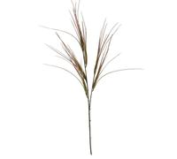 Lemon Pavilion Furniture and Decor Brome Grass Spray Artificial Flower - Plastic - L22xW15xH104 cm Green Lemon Pavilion Furniture and Decor Green