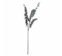Lemon Pavilion Furniture and Decor Dollar Eucalyptus Artificial Plant - L20 x W56 x H104 cm - Silver in Green Lemon Pavilion Furniture and Decor Green