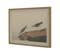 Lemon Pavilion Furniture and Decor Flora & Fauna Collection Stints on Linen in Beaded Frame in Brown Lemon Pavilion Furniture and Decor Brown