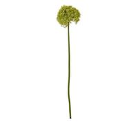 Lemon Pavilion Furniture and Decor Giant Allium (Single Stem Flower), Plastic, L21 x W21 x H90 cm, Green Lemon Pavilion Furniture and Decor Green