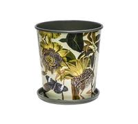 Lemon Pavilion Furniture and Decor Kew Botanical Retreat Planter with Saucer - L14 x W14 x H16 cm - Green Lemon Pavilion Furniture and Decor Green