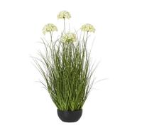 Lemon Pavilion Furniture and Decor Large Allium Plant in Pot - Plastic - L22 x W22 x H120 cm - White Lemon Pavilion Furniture and Decor White