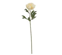 Lemon Pavilion Furniture and Decor Large Buttermilk Double Peony Stem Artificial Flower - L19xW19xH95 cm in Cream Lemon Pavilion Furniture and Decor Cream