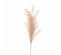 Lemon Pavilion Furniture and Decor Large Faux Pampas Grass Stem Artificial Plant - Beige Lemon Pavilion Furniture and Decor Beige