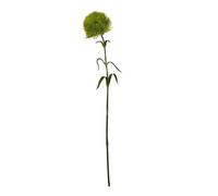 Lemon Pavilion Furniture and Decor Light Dianthus (Single Stem Flower) - Plastic - Height 53 cm - Green Lemon Pavilion Furniture and Decor Green