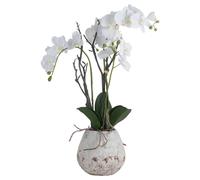 Lemon Pavilion Furniture and Decor Orchid in Stone Pot Artificial Flower - L46 x W46 x H70 cm - White Lemon Pavilion Furniture and Decor White