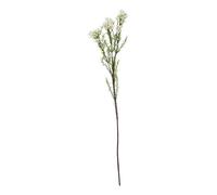 Lemon Pavilion Furniture and Decor The Natural Garden Collection Waxflower (Single Stem Flower) - H80 cm in White Lemon Pavilion Furniture and Decor White