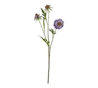 Lemon Pavilion Furniture and Decor The Natural Garden Scabious - Artificial Flower 1 Stem - Purple Lemon Pavilion Furniture and Decor Purple