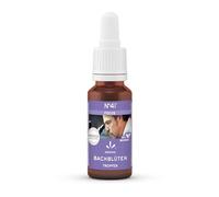 Lemon Pharma Organic Bach Flower Drops N°41 Focus - Natural Support for Concentration, Clarity and Mental Order - Vegan, 20 ml