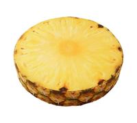 Lemon Pillow - Round 3D Decorative Plush Cushion, Fruit Slice Watermelon Orange Kiwi Throw Pillow | Soft Chair Seat Pad Toy for Kids, Couch Sofa Home Decor