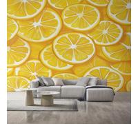 Lemon Slices Wallpaper for Living Room, Yellow Fruit Lemon Wall Mural for Bedroom, Non-Woven Photo Wallpaper Home Decor 300X210cm, Wall Decoration D23