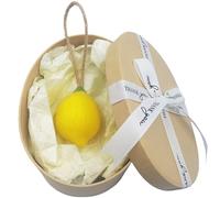 Lemon Soap on a Rope, Natural Handmade Lemon Shaped Cold Process Bath Soap, Hanging Decorative & Aromatic Artisan Soaps Bar for Hand Wash and Shower, Lasting Fragrance, Fresh Air (1Pcs)